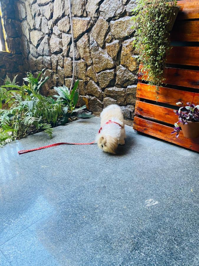 Pousada Princesinha Do Atlantico Macaé Dış mekan fotoğraf